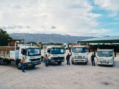 Record Week For Somerset Timbers