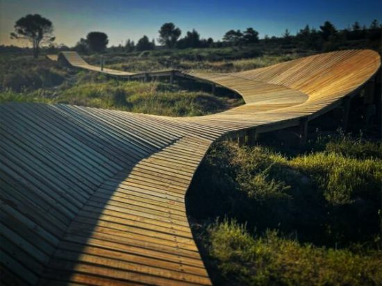 Picture of Pine BOARDWALK 36x110mm CCA H3 Treated 1.2m