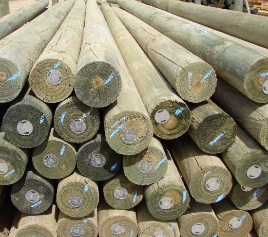 Picture of SABS Pine Pole 50/79mm CCA H4 Trt 1.8m